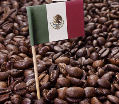 فرهنگ قهوه در مکزیک