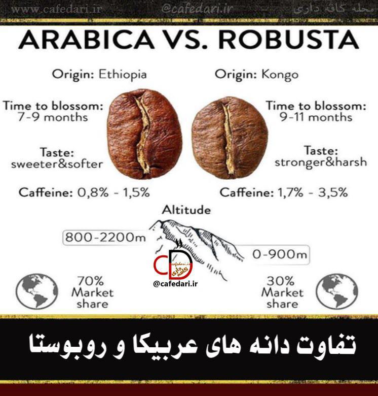 تفاوت عربیکا و روبوستا